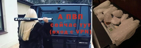 герыч Бердск