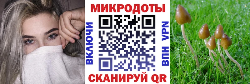 Галлюциногенные грибы Cubensis  Змеиногорск 