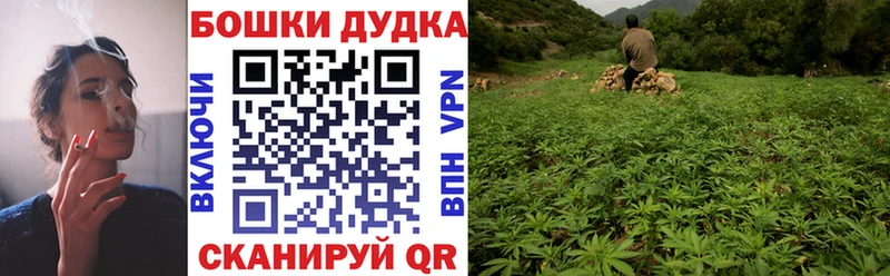 продажа наркотиков  blacksprut как войти  Бошки Шишки план  Змеиногорск 
