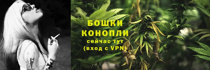 где продают наркотики  blacksprut сайт  Каннабис White Widow  Змеиногорск 